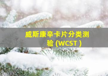 威斯康辛卡片分类测验 (WCST )